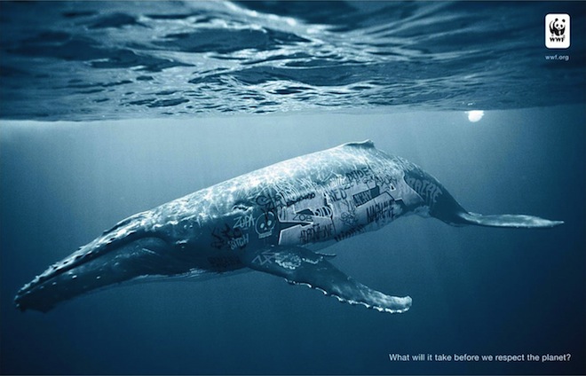 biodiversity-and-biosafety-awareness-whale1